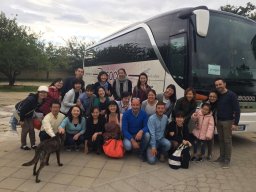 busaccabus 31